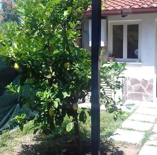 La Casa Di Donato