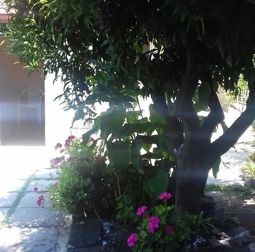 La Casa Di Donato
