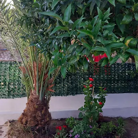 La Casa Di Donato 4* פאלינורו